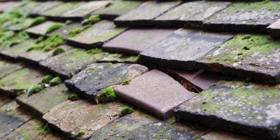 Shrivenham roof repair costs